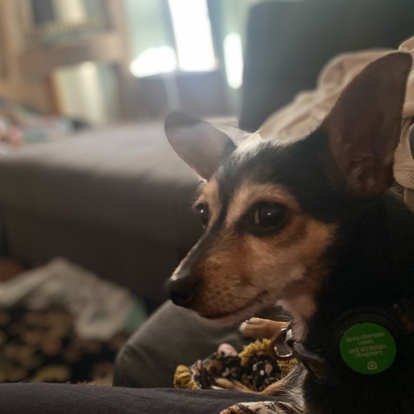 TippyToe’s Treasures!!! - Picture 9 of 16